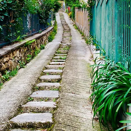 Apartamento Cozy Con Terrazza A *