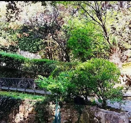 Cozy Con Terrazza A *